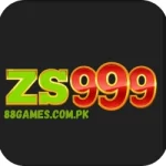ZS999 Game